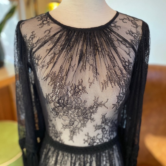Alice McCall black lace dress, sheer w/ tassels | Victorian, Gothic, Witchy Sz 4 - Picture 3 of 11